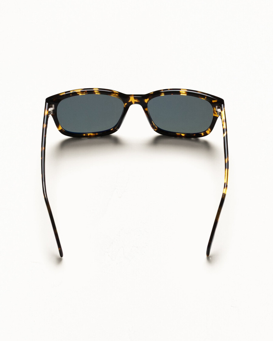 gafas de sol alan